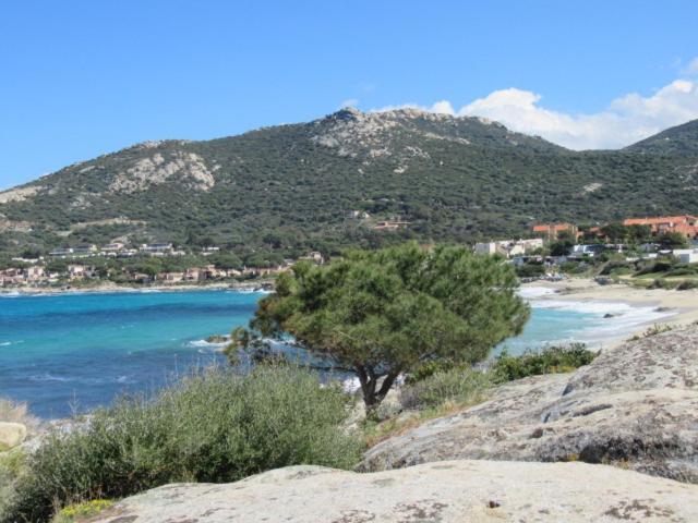 T2 Renove 100M Plage Avec Spa Privatif Entre Calvi Et Ile Rousse Люмио Екстериор снимка